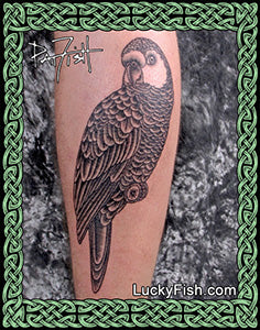 Amazon Parrot Tattoo Design black ink