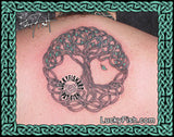 Family Tree of Life Celtic Tattoo Design