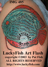 Discus Fish Tattoo Design 1