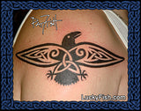 Shield Raven Tattoo photo with Celtic Design