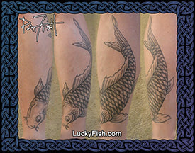 Three views of koi fish on a leg calf with 'Lucky Fish' branding.