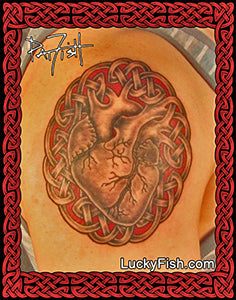 Anatomical Heart Tattoo Design with Celtic Knotwork