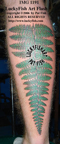 Forest Fern Tattoo Design 1
